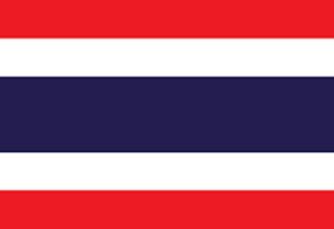 My-Digital-Lock-Flag-11