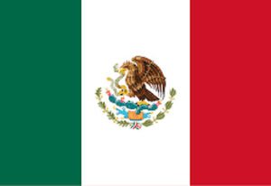 My-Digital-Lock-Flag-3