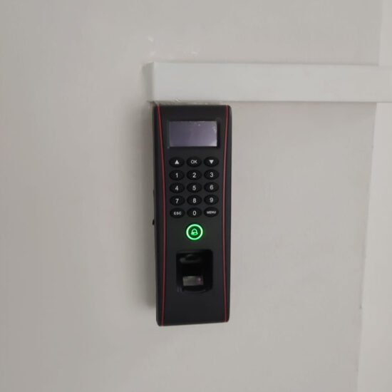 Weather Proof Fingerprint + Card + Pin EM Digital Lock for Landed Property side gate