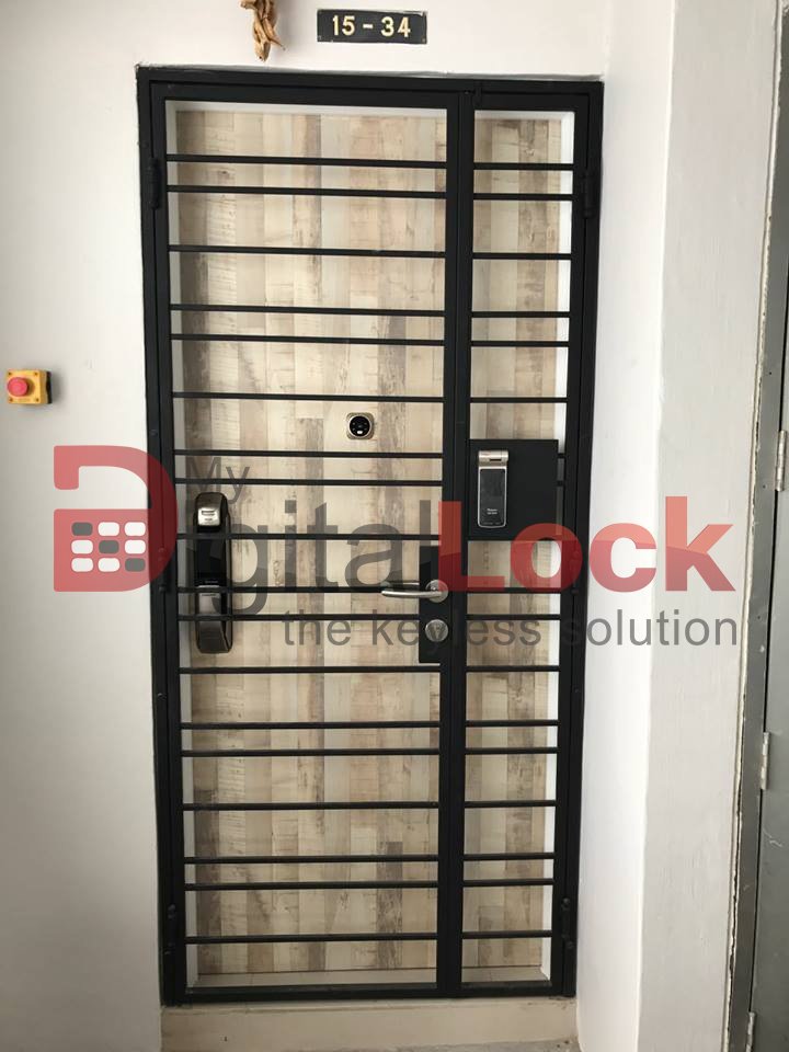 Budget Mild Steel Gate at Lowest Price in Singapore