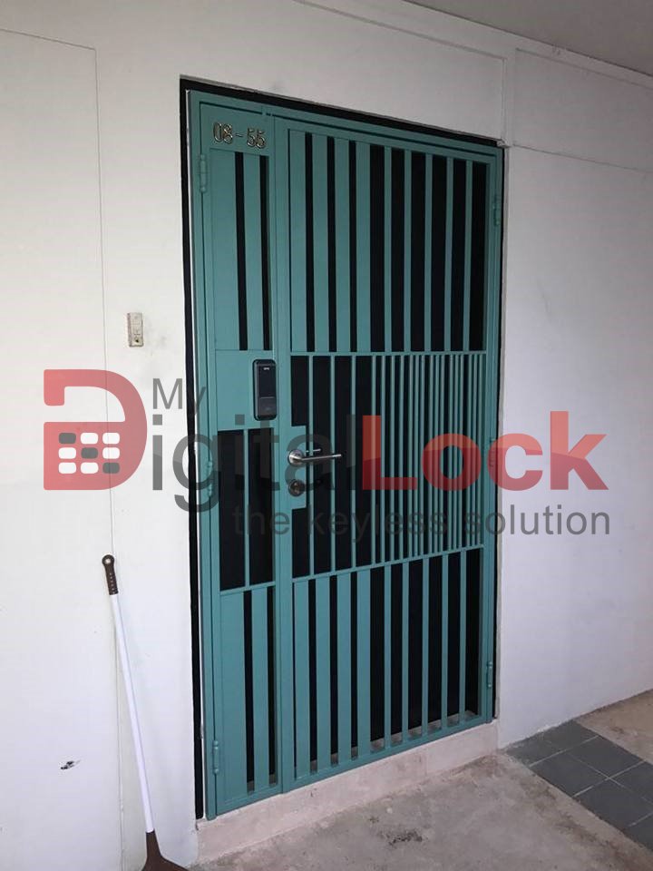 Mild Steel Gate - Mix Lineal Designer Gate