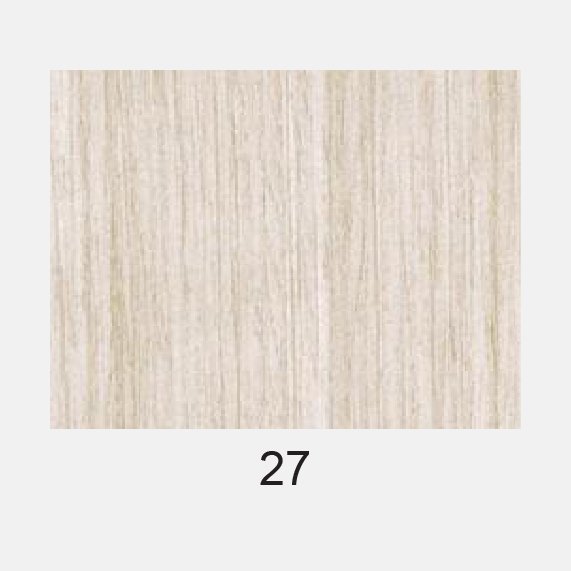 PVC HDB Toilet Door - PHENOLIC