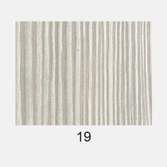 PVC HDB Toilet Door - PHENOLIC